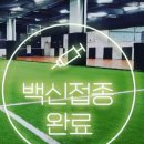 키튼코리아 이미지