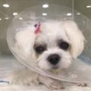 24시프라임동물병원 이미지