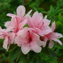 고은요양병원 이미지