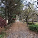 오솔길근린공원 이미지