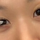 래쉬스튜디오 무무 네이버블로그