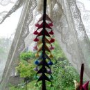 햇살이 머무는 뜨락 이미지