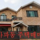 사파동221 이미지