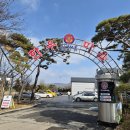 임가네돈 이미지