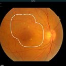 주식회사메드솔루션 이미지