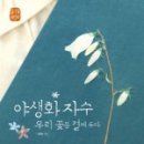 야생화꽃자수 이미지