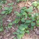 아름농장 이미지