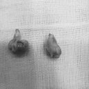 메이 동물병원 이미지