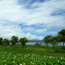 낙동강변9 이미지