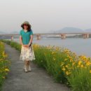 강촌에살고싶네 이미지