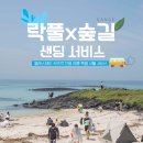 늘 올레 스테이 이미지