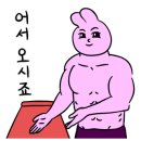 헤이도그 이미지