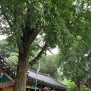 우람서원 | 서울 겸재정선길을 다녀와서-양천향교, 소악루, 양천고성지, 궁산땅굴(26.7.4. 여주지역사교육연구회...