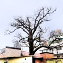 16. 시지동(時至洞), 옛날 시지원이 있었던 ‘원(院)’ 마을 이미지