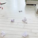 밈밈랩