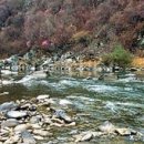 산채으뜸마을 이미지