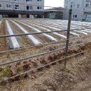 봉곡동240 이미지