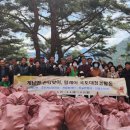 장안산 봄나물 축제 이미지