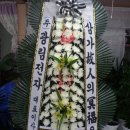하늘원 이미지