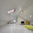 금악가반 이미지