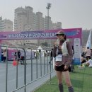 김포한강 10로 | 김포한강마라톤대회 후기 10km 기념품 정리 (2026)