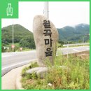 설천면 월곡 이미지