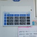 꽃두꺼비 이미지