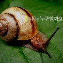 와우미디어 동행미디어 시대