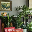 돈골대가 이미지
