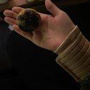 드림기공소 | 11월