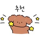 그루밍이즈 이미지