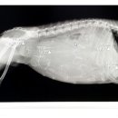 불광동물병원 이미지