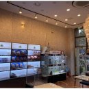 행복한강아지와고양이 이미지