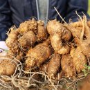 해석농장 이미지