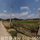 장성아파트 앞 Daum카페