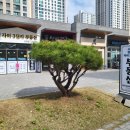 평택자이3단지부동산공인중개사사무소 이미지