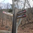 붕어마을 이미지