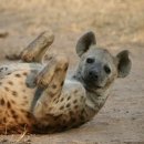 남원 광 한 루 | 내돈내산 수원시청 갓성비 네일 루에르네일 후기 🤍 자연스러운 젤네일 진짜 잘함