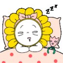 호수일출스파펜션 이미지