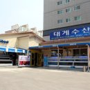 둘리수산 이미지
