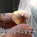 송이푸드 이미지