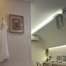 상콤발랄헬로퍼피 | [성수] 주말 데이트하기 좋은 성수 한식 맛집 금금 / 성수 카페추천 강아지 크루키가 있는 대니스...