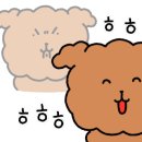 은정스테이 이미지