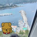 궁촌목장 | [삼척 여행 2편] 장호항 해상 케이블카 탑승기