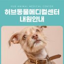 허브동물메디컬센터 네이버블로그
