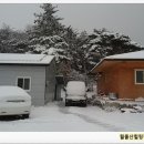 월출산힐링팜 이미지