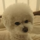 2022년 첫 일상