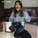 까미하우스 이미지