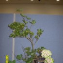 동양꽃꽂이 이미지