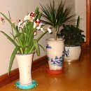 작은행복 이미지